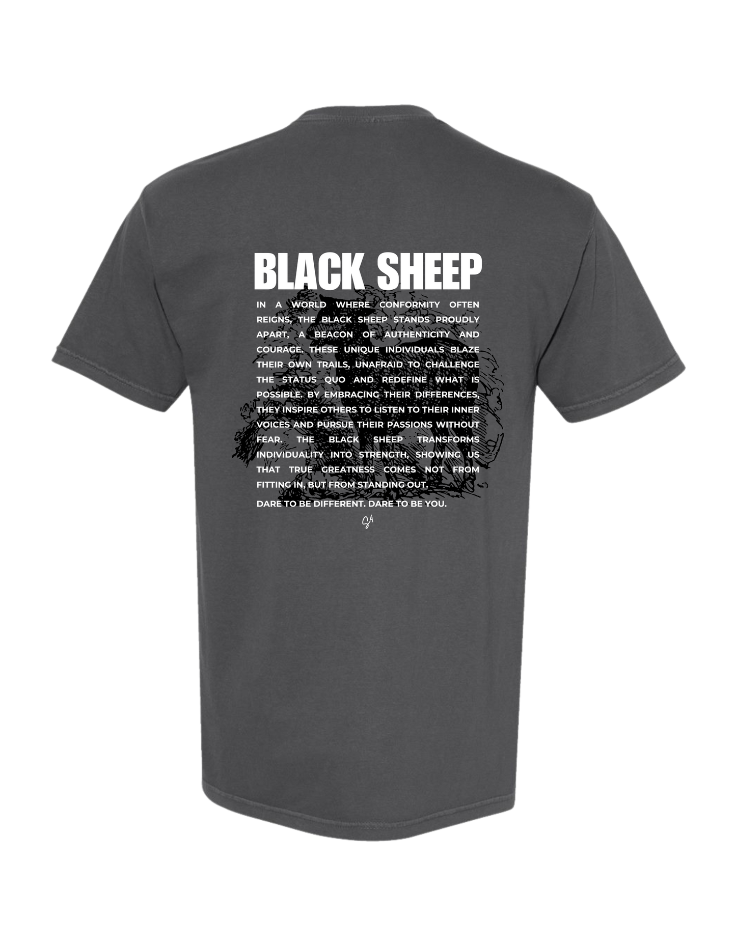 BLACK SHEEP, BRIGHT FUTURE Tee | Pepper (grey)