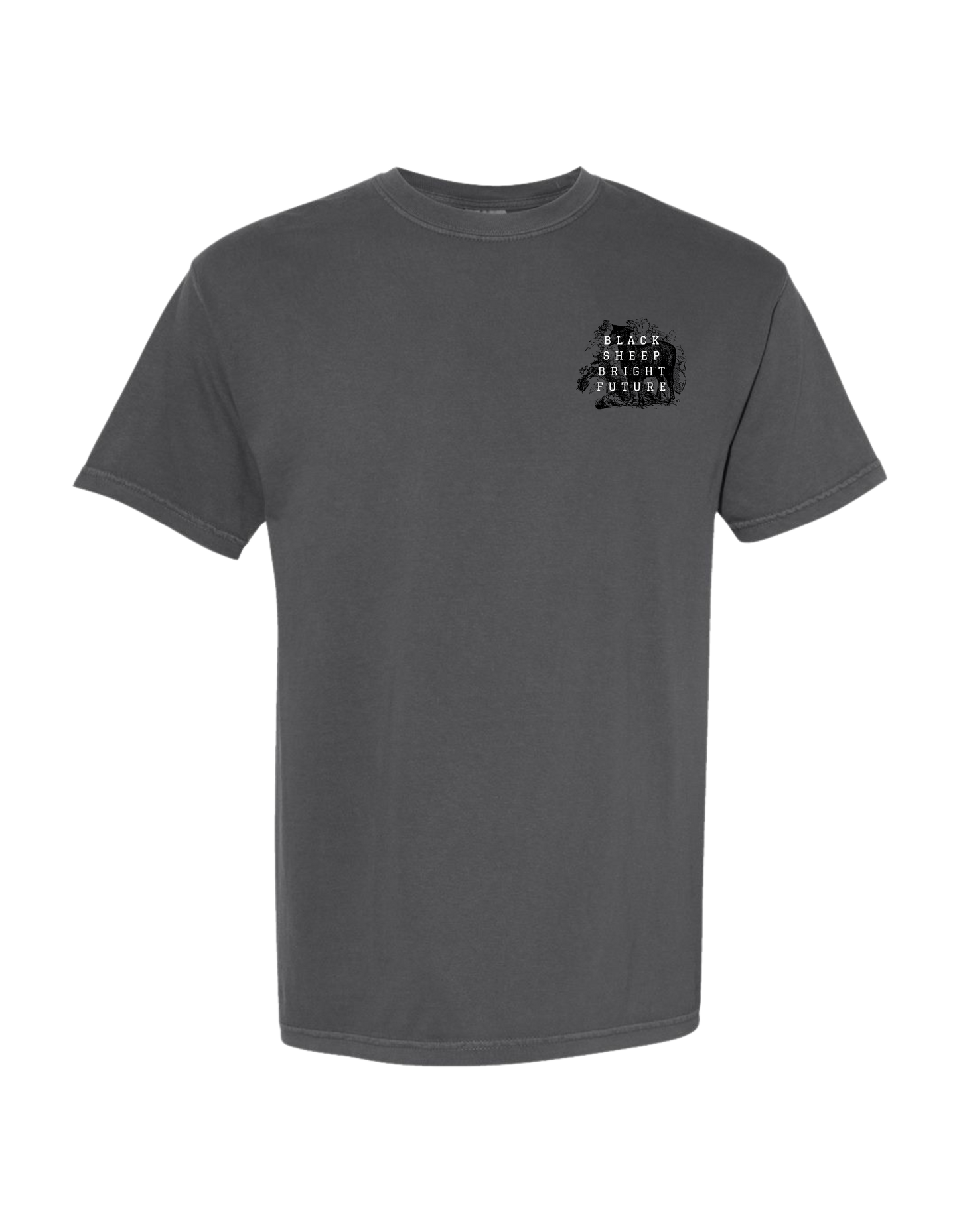 BLACK SHEEP, BRIGHT FUTURE Tee | Pepper (grey)